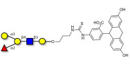 Blood group B antigen pentaose type 2 linked to fluorescein (Linker-FLUO A)
