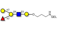 Blood group B antigen pentaose type 2 grafted on gel for affinity chromatography (Linker-GEL B)