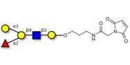 Blood group B antigen pentaose type 2 linked to maleimide (Linker-MAL A)