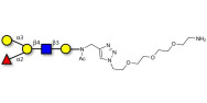 Blood group B antigen pentaose type 2 with free terminal amine (Linker-NH2 B)