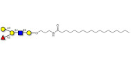 Blood group B antigen pentaose type 2 with stearic chain (Linker-STEA A)
