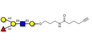 Blood group B antigen pentaose type 2 with terminal alkyne (Linker-CΞCH C)