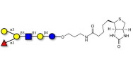 Blood group B antigen hexaose type 1 linked to biotin (Linker-BT B)