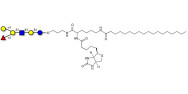 Blood group B antigen hexaose type 1 linked to biotin and stearic chain (Linker-BT-STEA A)