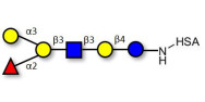 Blood group B antigen hexaose type 1 grafted on HSA