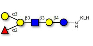 Blood group B antigen hexaose type 1 grafted on KLH