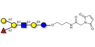 Blood group B antigen hexaose type 1 linked to maleimide (Linker-MAL A)