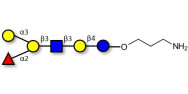 Blood group B antigen hexaose type 1 with free terminal amine (Linker-NH2 A)