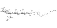 Blood group B antigen hexaose type 1 with free terminal amine (Linker-NH2 B)