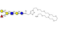 Blood group B antigen hexaose type 1 with free terminal amine (Linker-NH2 C)