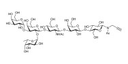 Blood group B antigen hexaose type 1 with terminal alkyne (Linker-CΞCH A)