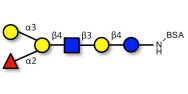 Blood group B antigen hexaose type 2 grafted on BSA