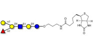 Blood group B antigen hexaose type 2 linked to biotin (Linker-BT B)