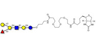 Blood group B antigen hexaose type 2 linked to biotin (Linker-BT C)