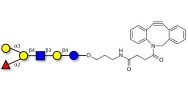 Blood group B antigen hexaose type 2 with DBCO (Linker-DBCO A)