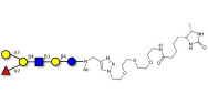 Blood group B antigen hexaose type 2 linked to desthiobiotin (Linker-DBT-A)