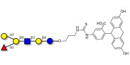 Blood group B antigen hexaose type 2 linked to fluorescein (Linker-FLUO A)