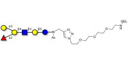 Blood group B antigen hexaose type 2 grafted on gel for affinity chromatography (Linker-GEL A)