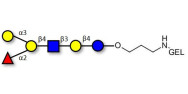 Blood group B antigen hexaose type 2 grafted on gel for affinity chromatography (Linker-GEL B)