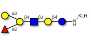 Blood group B antigen hexaose type 2 grafted on KLH