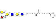 Blood group B antigen hexaose type 2 with cyclic di-thiol (Linker-LIPO A)