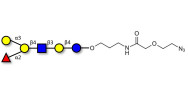Blood group B antigen hexaose type 2 with terminal azide (Linker-N3 B)