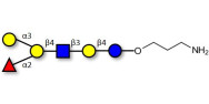 Blood group B antigen hexaose type 2 with free terminal amine (Linker-NH2 A)