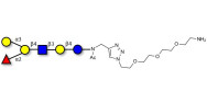 Blood group B antigen hexaose type 2 with free terminal amine (Linker-NH2 B)