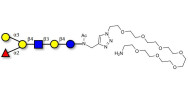 Blood group B antigen hexaose type 2 with free terminal amine (Linker-NH2 C)