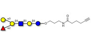 Blood group B antigen hexaose type 2 with terminal alkyne (Linker-CΞCH C)