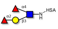Lewis b (Leb) tetraose grafted on HSA