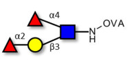 Lewis b (Leb) tetraose grafted on OVA