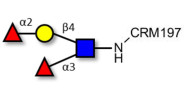 Lewis y (Ley) tetraose grafted on CRM197
