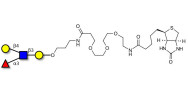 Lewis x (Lex) tetraose linked to biotin (Linker-BT C)