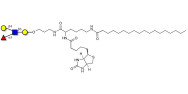 Lewis x (Lex) tetraose linked to biotin and stearic chain (Linker-BT-STEA A)