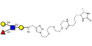 Lewis x (Lex) tetraose linked to desthiobiotin (Linker-DBT-A)