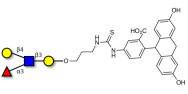Lewis x (Lex) tetraose linked to fluorescein (Linker-FLUO A)