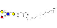 Lewis x (Lex) tetraose grafted on gel for affinity chromatography (Linker-GEL A)