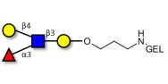 Lewis x (Lex) tetraose grafted on gel for affinity chromatography (Linker-GEL B)