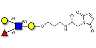 Lewis x (Lex) tetraose linked to maleimide (Linker-MAL A)