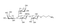 Lewis x (Lex) tetraose with free terminal amine (Linker-NH2 A)
