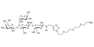 Lewis x (Lex) tetraose with free terminal amine (Linker-NH2 B)