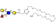 Lewis x (Lex) tetraose with free terminal amine (Linker-NH2 C)