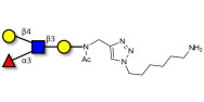 Lewis x (Lex) tetraose with free terminal amine (Linker-NH2 D)