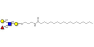 Lewis x (Lex) tetraose with stearic chain (Linker-STEA A)