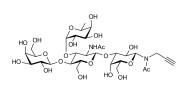 Lewis x (Lex) tetraose with terminal alkyne (Linker-CΞCH A)