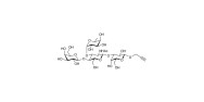 Lewis x (Lex) tetraose with terminal alkyne (Linker-CΞCH B)