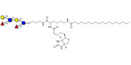 Lewis x (Lex) hexaose / Lacto-N-neodifucohexaose (LNnDFH) linked to biotin and stearic chain (Linker-BT-STEA A)