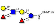 Lewis x (Lex) hexaose / Lacto-N-neodifucohexaose (LNnDFH) grafted on CRM197