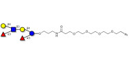 Lewis x (Lex) hexaose / Lacto-N-neodifucohexaose (LNnDFH) with terminal azide (Linker-N3 A)